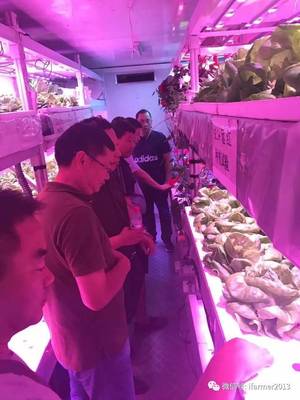 智慧農業新篇章 宿遷市領導參觀旭田植物工廠，共話苗木種植現代化未來