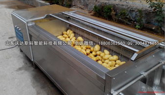 芋艿加工廠家 批發商 價格表